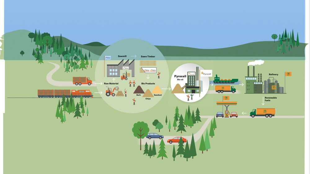 Slik blir verdikjeden for biodrivstoffet. Fra skog til trevirkebedrift, med restmateriale inn i pyrolyseanlegget, som deretter lager olje. Oljen blir sendt videre til raffineriet, for å foredles til fornybart drivstoff.