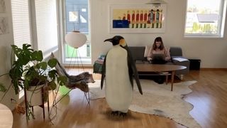 Google utvider i AR: Nå kan du få en pingvin på stuegulvet. Men ikke en grevling i taket