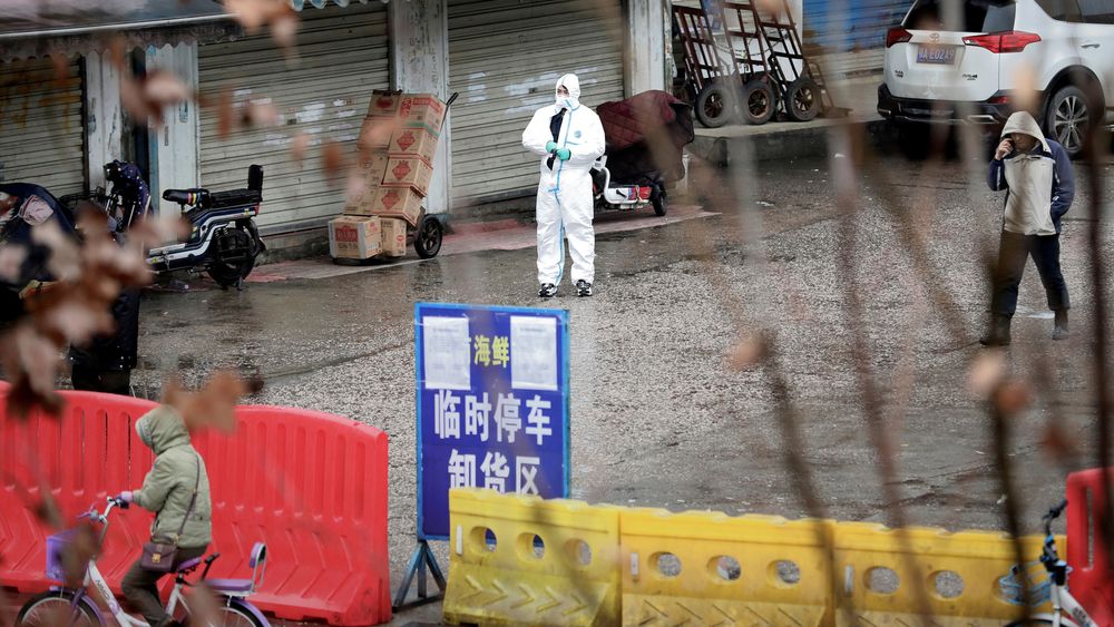 Sannsynligvis kom smitten fra et dyremarked i den kinesiske byen Wuhan, men det er usikkert hvilket dyr som overførte viruset til mennesker. Bildet er fra et såkalt "våtmarked", som ble stengt av myndighetene i Wuhan i januar.