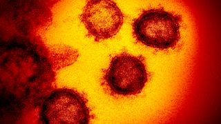 Medisin fra norsk bioteknologiselskap testes av britiske myndigheter mot covid-19: Har tidligere vist effekt mot virus