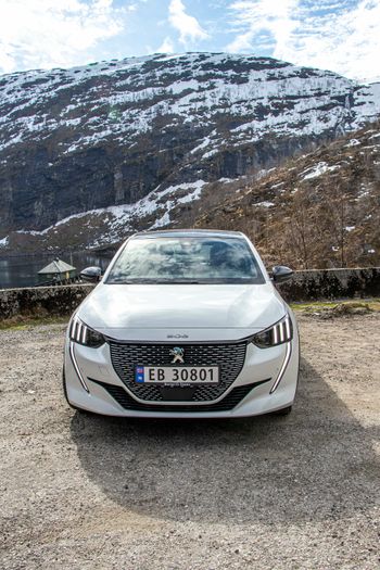 Peugeot e-208.