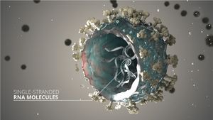 /2578/2578675/Coronavirus_NTNU.300x169.jpg