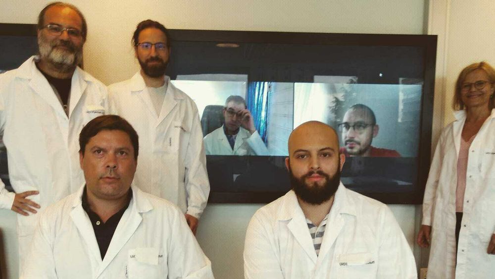 Gjengen fra UiO som skal konkurrere i genmaniulering. Fra venstre: Dirk Linke, Alexander Refsnes (på kne), Athanasios Saragliadis, Martin Eide Lien (Zoom), Jonas Aouay Grønbakken, Muhammed Gecgel(Zoom) og Kirsten Borse Haraldsen.