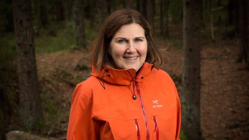 Vegsjef Ingrid Dahl Hovland er imponert over måten anleggsbransjen har håndtert koronasituasjonen på.