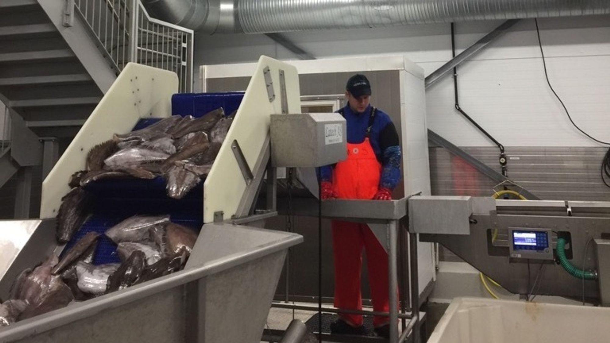 Samlebånd, roboter og store kjølerom trekker mye strøm. Forrige torsdag ble en kompressor i kjølerommet hos Nergård Fisk koblet ut, idet budet fra nettselskapet slo inn på markedsplassen Nodes.