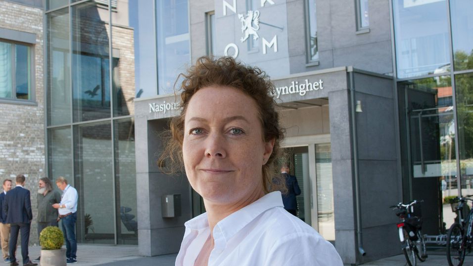 Sikkerhetsdirektør Elise Lindeberg i Nasjonal kommunikasjonsmyndighet har tildelt en kontrakt på 29 millioner kroner til Telia Carrier, som vil leie plass i en sjøfiber fra Bulk Infrastructure som går mellom Kristiansand og Esbjerg i Danmark.