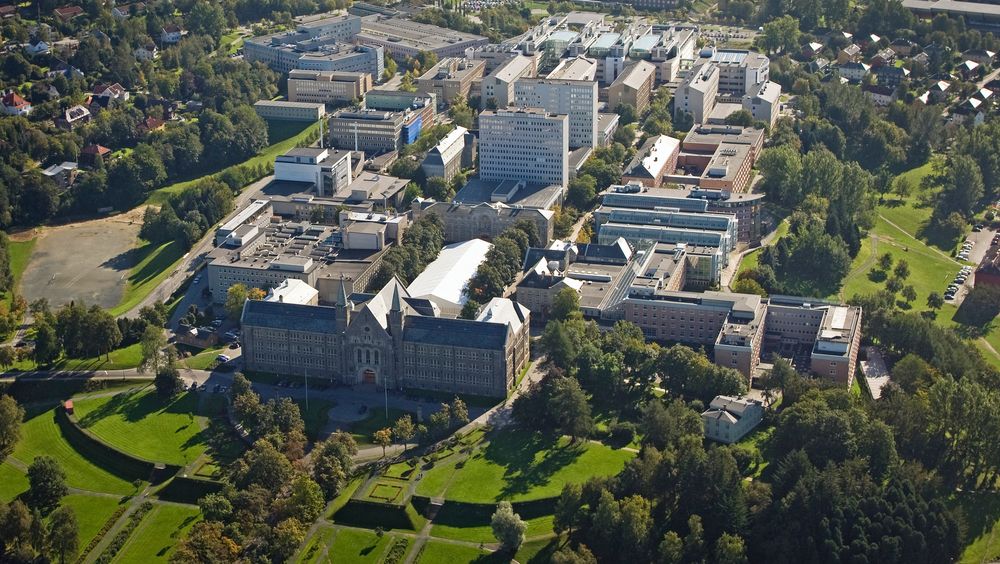 Bildet viser Gløshaugen, med hovedbygningen nederst. Dødens dal ligger til venstre i bildet, der kommer humaniora og samfunnsfagene mens innovasjon og økonomi kommer til høyre for Gløshaugen, ned mot Elgseter gate, som ikke er med på bildet. Kunstfagene, akriktektur og musikk kommer mellom hovedbygningen og Studentersmafunnet, området er ikke vist på bildet.
