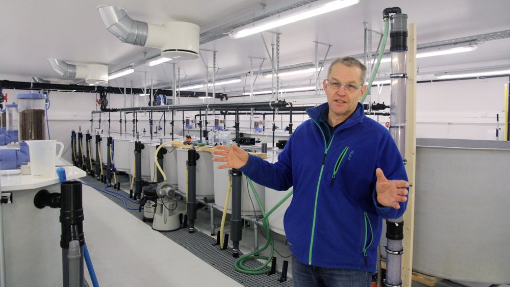 Odd-Ivar Lekang tror USA kan komme til å sperre for norsk laks om landbasert produksjon tar av.