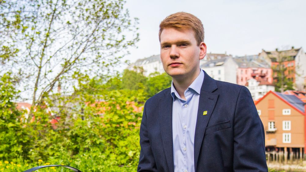 Ask Ibsen Linda, energipolitisk talsperson i Miljøpartiet De Grønne, MDG, skriver at musklene det offentlige kan brukes til å få til endringer på kort tid.