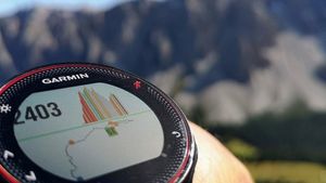 /2592/2592427/alps-mountain-stopwatch-altimeter-altitude-garmin.300x169.jpg