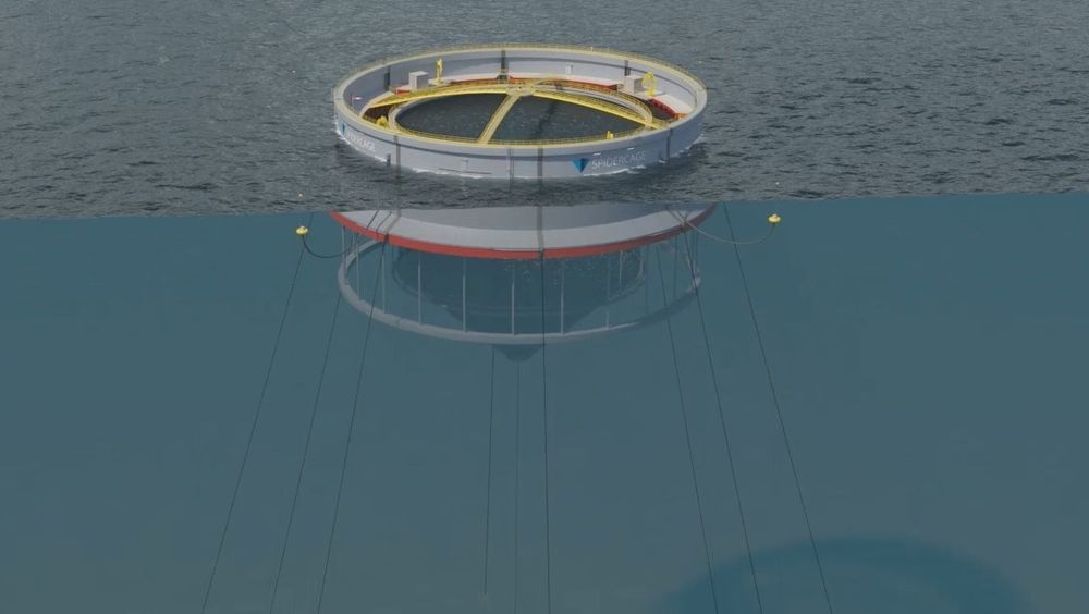 Moss Maritime skal finne ut om Spider Cage skal produsere strøm selv.