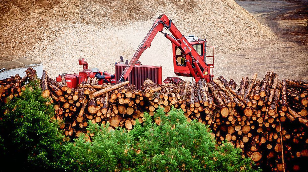 Elkem Biocarbon: Skogen er den nye kilden til reduksjonsmidler for Elkems produksjon av silisium og ferrosilisium.