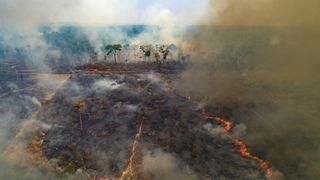 wwf Tu.no WWF: Snart er jordas ressurser for i år brukt opp Tu.no