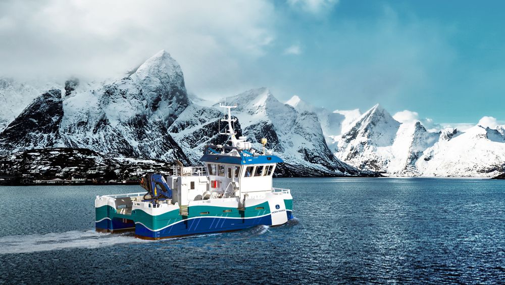 Moen Marin har utviklet den hybride arbeidsbåten NABCAT 1375 ELECTRIC. Den danner grunnlag for den hydrogen-elektriske arbeidsbåten.