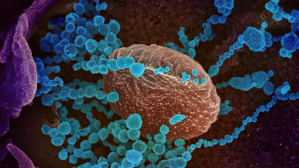Koronaviruset har satt verden på hodet. Nå kan nye korona-vaksiner revolusjonere legevitenskapen.