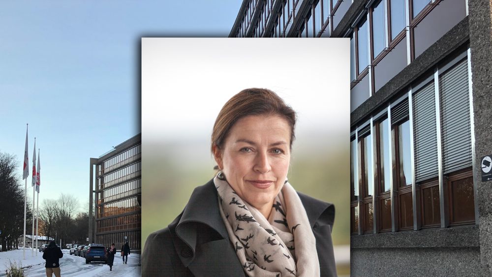 Anne Vera Skrivarhaug er energidirektør i NVE.
