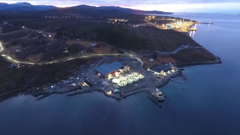 Salfjords tomt ligger mellom Lumarines anlegg (i forgrunnen) og Equinors metanolfabrikk (i bakgrunnen av bildet).