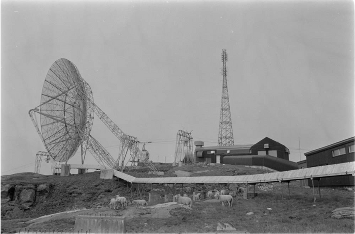 ACE High-stasjonen på Vardefjell i Mosjøen. Bildet viser blant annet en stor parabolantenne og en flokk med sauer.