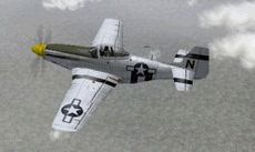 Mustang P51-D-fly fra spillet World War II.