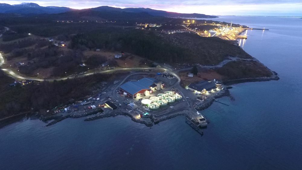 Salfjords tomt ligger mellom Lumarines anlegg (i forgrunnen) og Equinors metanolfabrikk (i bakgrunnen av bildet).