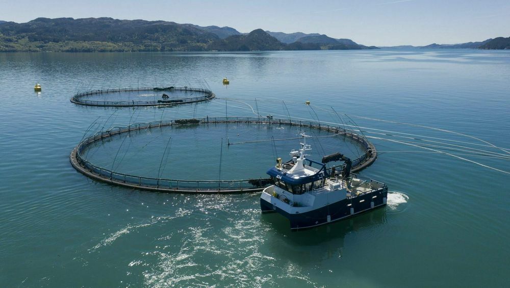 Bremnes Seashore har det første helektriske oppdrettsanlegget. Her med den hybride arbeidskatamaranen Ida. Likevel er det mange anlegg og båter som fortsatt er helt avhengige av diesel.