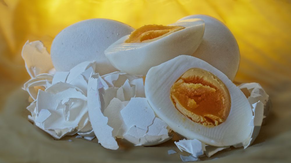 Eggeplommer inneholder en del D-vitamin. Nå vil Nortura gi hønsene solarium - det øker innholdet av D-vitamin. I tillegg ser selskapet nye muligheter for å bruke eggeskall, blant annet i kampen mot osteoporose.   