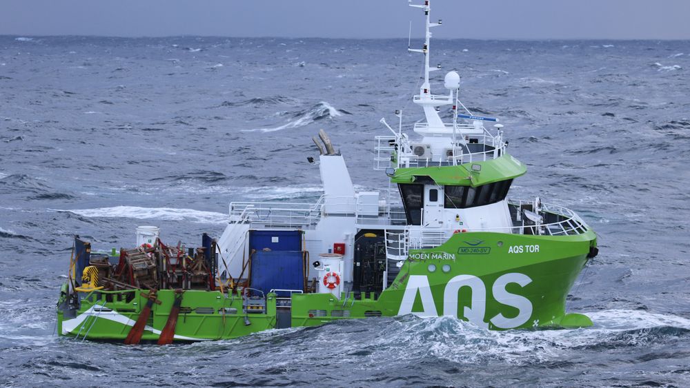 Servicebåten AQS Tor falt av skipet Eemslift Hendrika på fredag.