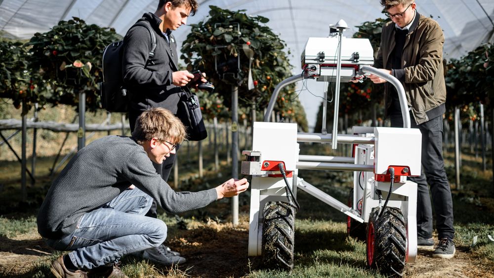 Forretningsmodellen til Saga Robotics er at de leier ut robotene til bøndene, som betaler for hver hektar, kilo eller timer Thorvald er i bruk. Det krever mindre risikovilje og kapital fra bøndenes side, samtidig som det norske selskapet drifter tjenesten og har tilgang til data fra robotene, som de igjen kan bruke til å videreutvikle Thorvald.