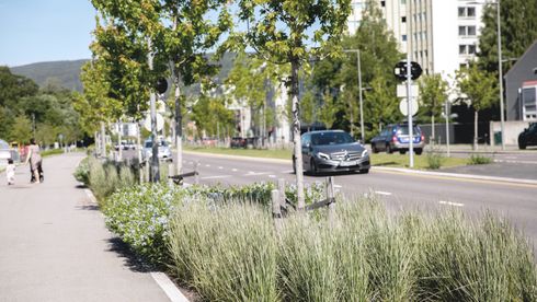 Hva skal til for å bygge grønnere veier og bymiljø?