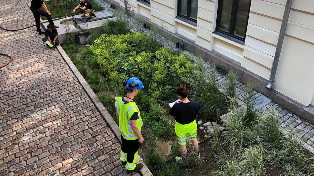 En årsak til at nedbør forårsaker stadig større skader, er økt fortetting og flere harde flater. I Deichmans gate i Oslo sentrum skal dette regnbedet bidra til å holde kontroll på overvannet.