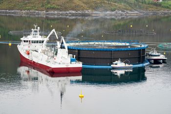 Midt-Norsk Havbruk har også utviklet en rømningssikker merd som er 22 meter høy og som har fått navnet Aquatraz. Den kan heises opp og ned ved levering av fisk, rengjøring og vedlikehold. 