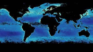 Kart med mengden klorofyll i verdens hav.