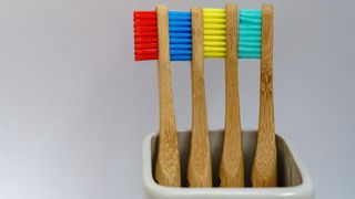 Fire tannbørster med rød blå gul grønn farge på børstehodet. 
