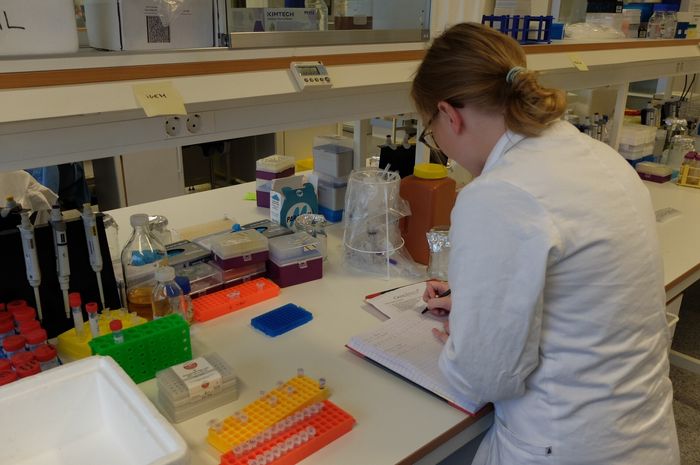 IGEM-student Hege Hovland gjør seg klar til en ny økt på laboratoriet. 