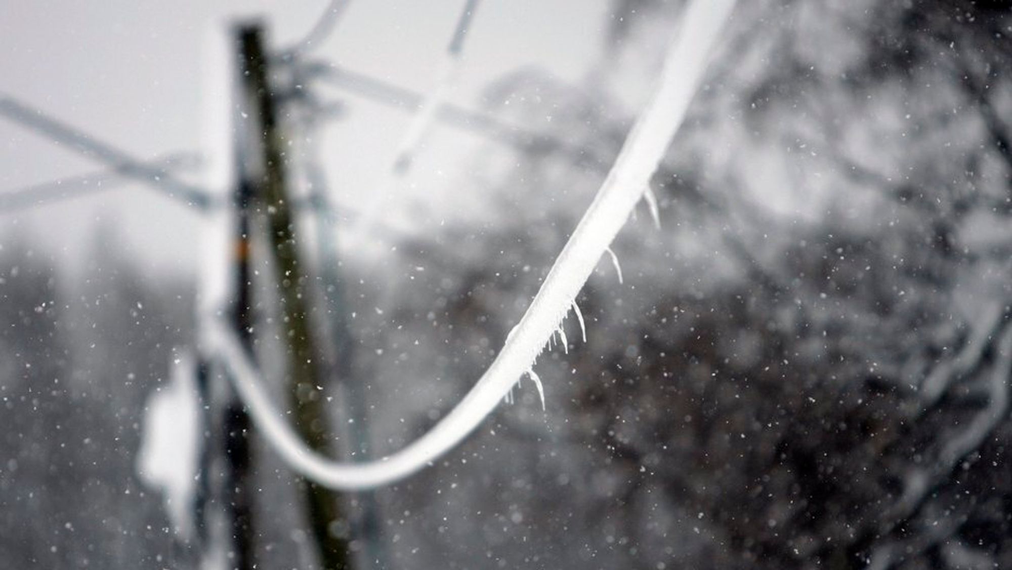 Forsikringsselskapene og nettselskapet krangler fortsatt om hvem som skal betale for skadene etter trefallet over linjen i 2015.