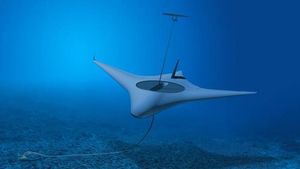 /2710/2710752/manta-ray-program.300x169.jpg