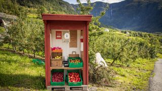 Ny teknologi kan hjelpe norske fruktbønder å takle et økende problem