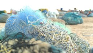 /2714/2714901/Discarded-fishing-nets_2.300x170.jpg