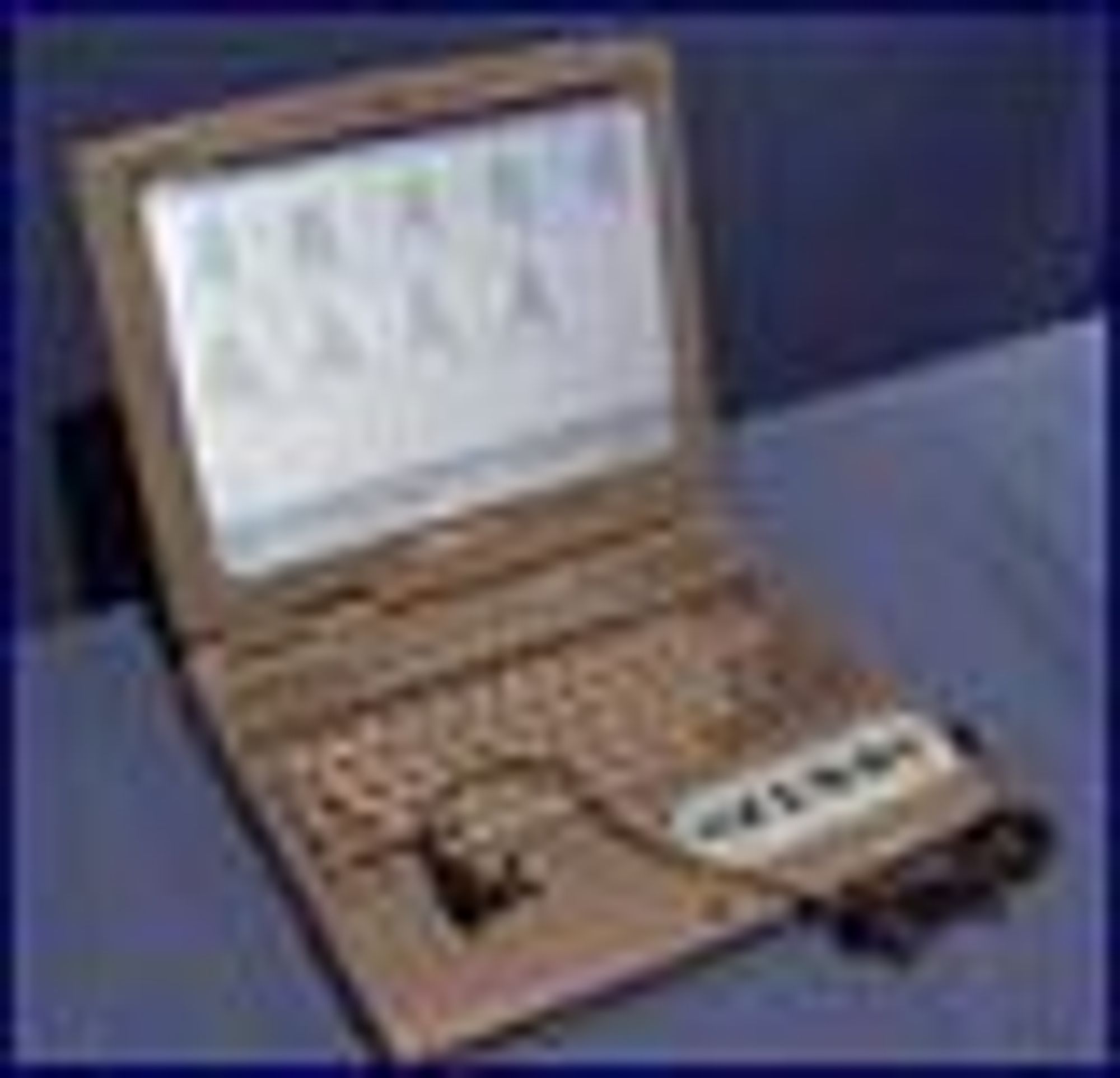 PC med Computer Voice Stress Analyzer.