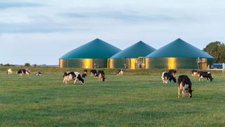 Slik kan biogass bidra til å løse klima- og energikrisen