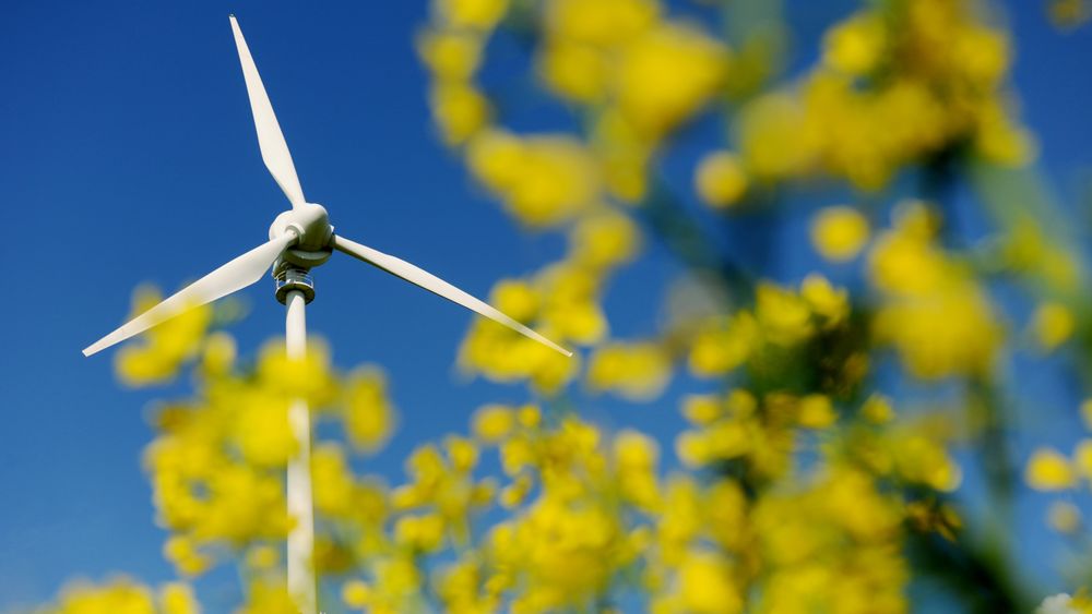 En kraftig økning innen fornybare energikilder som vind og sol skal hjelpe Danmark med å kutte ut naturgass innen 2030.