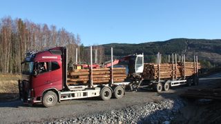 Nær halvparten av all tømmer­transport i Norge skjer med halv­tomme biler – her er forklaringen