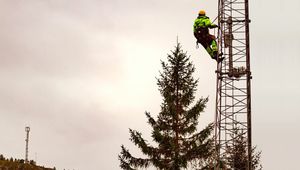 /2733/2733345/Eltel-mann-i-mast2.300x170.jpg