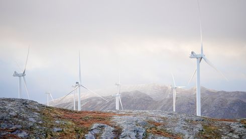 Kommunene Gamvik og Lebesby har bedt NVE om å behandle flere vindkraftprosjekter. 