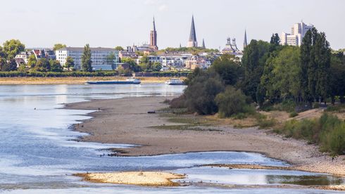 Mangel på regn har ført til svært lav vannstand i en av Europas viktigste elver Rhinen. Bildet er tatt 3. august i Bonn i Tyskland, der vannstanden kun er på 110 centimeter.