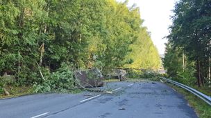 Riksvei 41 stengt ved Haugsjåsund på grunn av ras