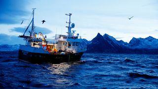 Ny fangst-løsning kan bli påbudt i norske farvann
