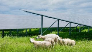 Satser stort på solkraft i Norge: Selskap betaler millioner til norske kommuner for å leie tomter
