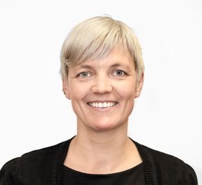 Monica Strøm Larsen, Sintef, bygningsingeniør, forskningsleder, jobb, ingeniør