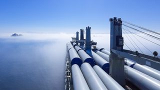 Pilotprosjektet «Ammonia Powered Bulk Carrier» i regi av Grønt skipsfartsprogram konkluderer med at det trengs incentiver i form av CO2-skatt og tilgang på ammoniakk i flere havner. Piloten studerte ombygging av et Grieg-skip på 50.000 dødvekttonn. Skipene seiler med mange typer bulk- og tørrlast opp mot 5.000 nautiske mil.